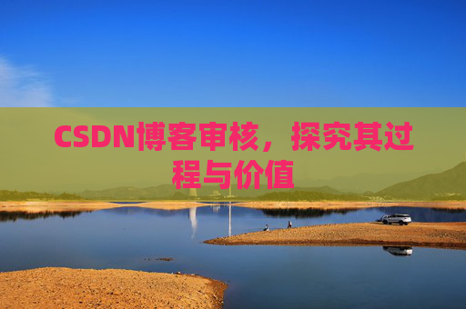 CSDN博客审核，探究其过程与价值